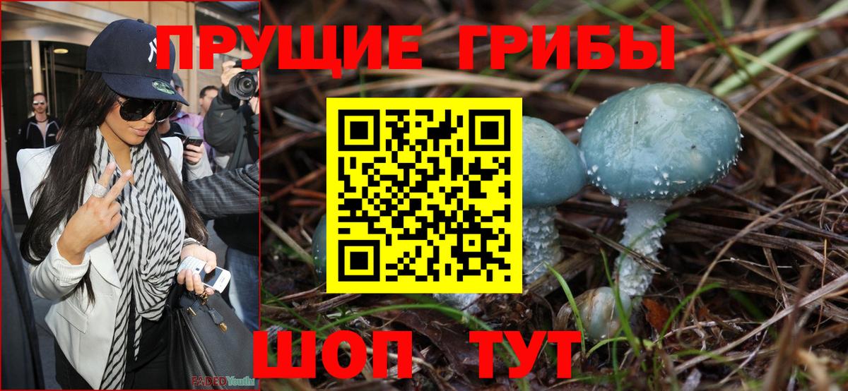 Псилоцибиновые грибы Psilocybine cubensis Черкесск